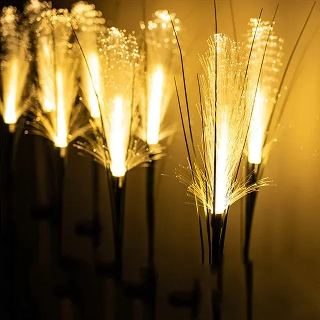 Glow Reed